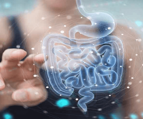 Mikrobiyota ve Mikrobiyom